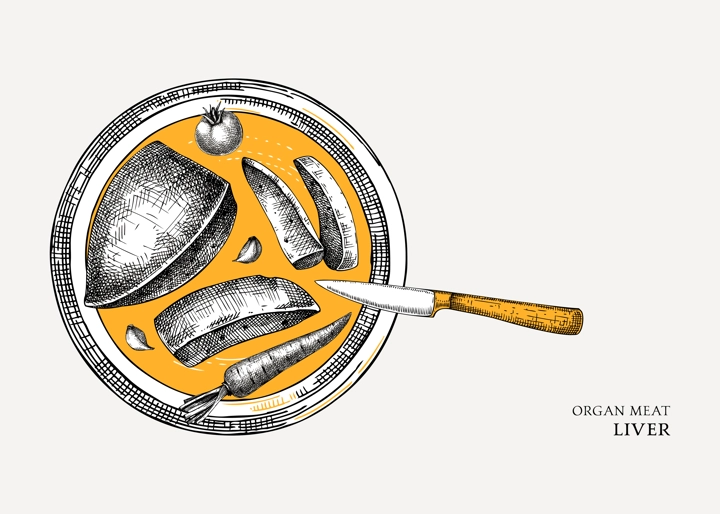 Beef liver design. Internal organs of farm animal drawings. Healthy food sketch. Hand drawn vector Illustrations on a white background. Cattle organ meat, offal, ingredients, butchery design elements.